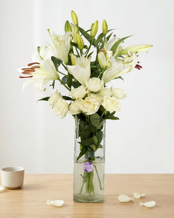 Snowy Blooms & Lily Dreams