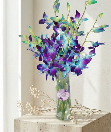 Royal Sapphire Orchid Bliss