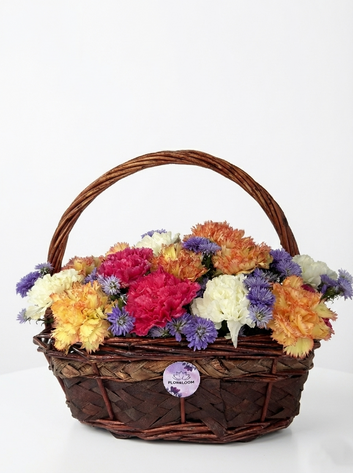 Carnival Carnation Basket