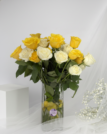 Golden Bonds of Friendship