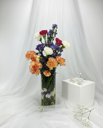 Vibrant Carnation Carnival