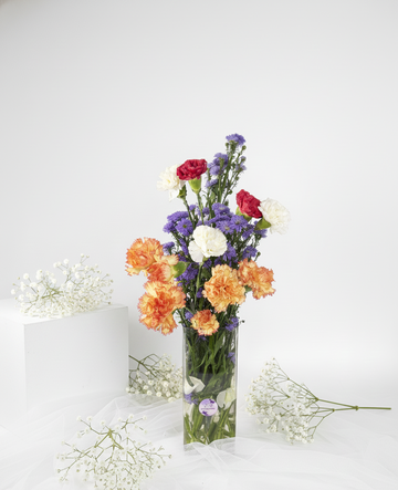 Vibrant Carnation Carnival